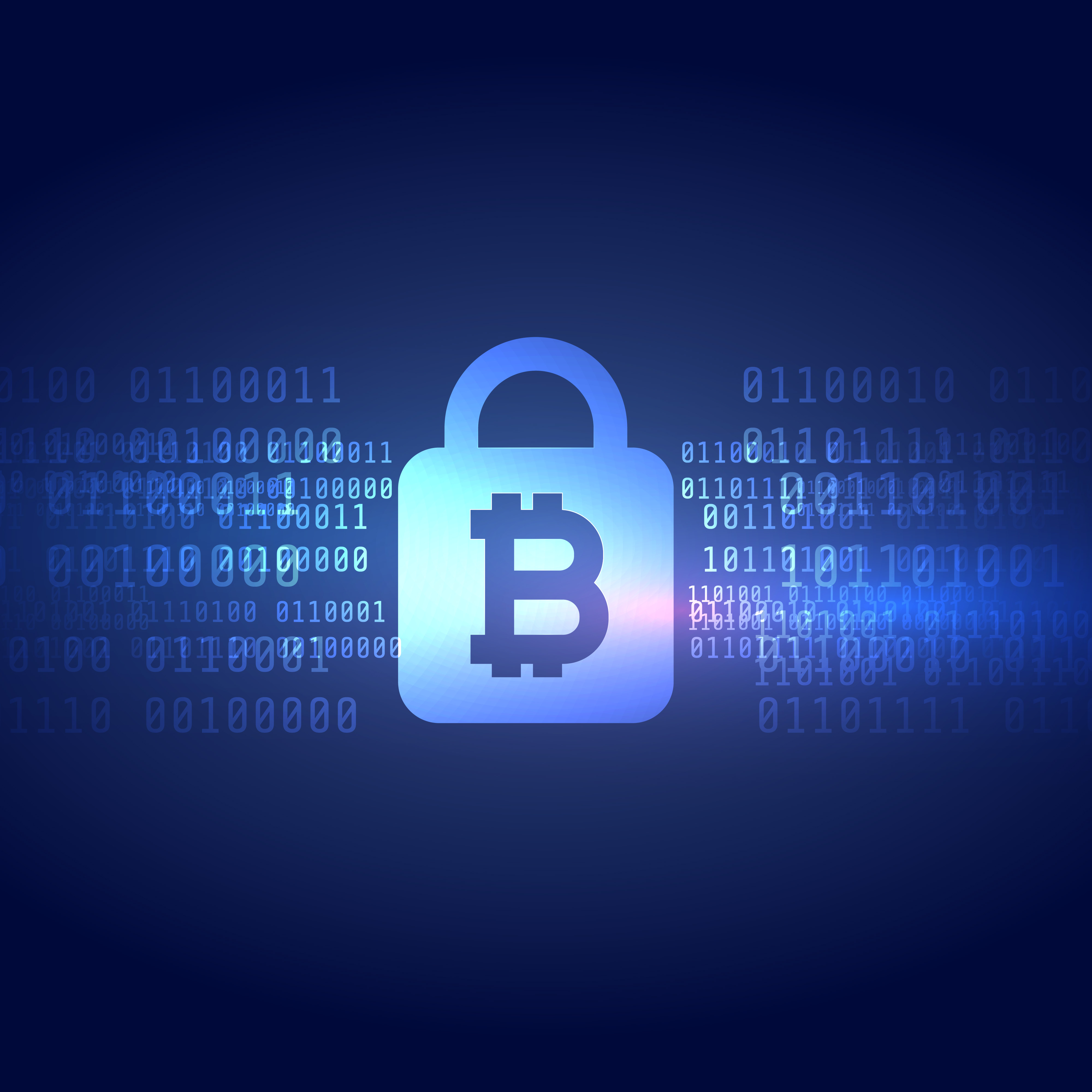 Hybrid Ledger Consensus Infrastructure